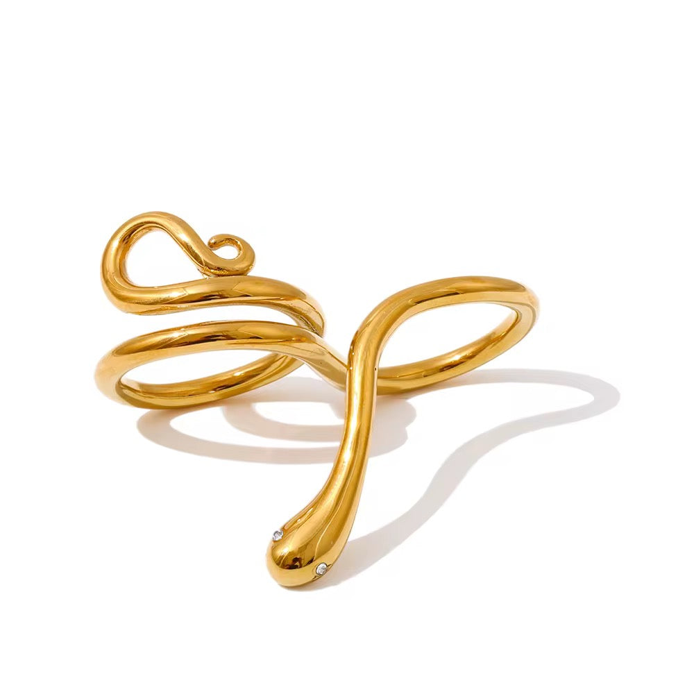 Anillo Snake