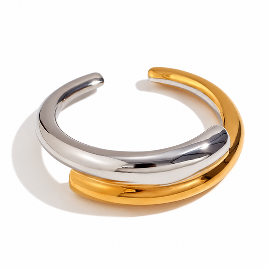 Anillo 2 Tonos